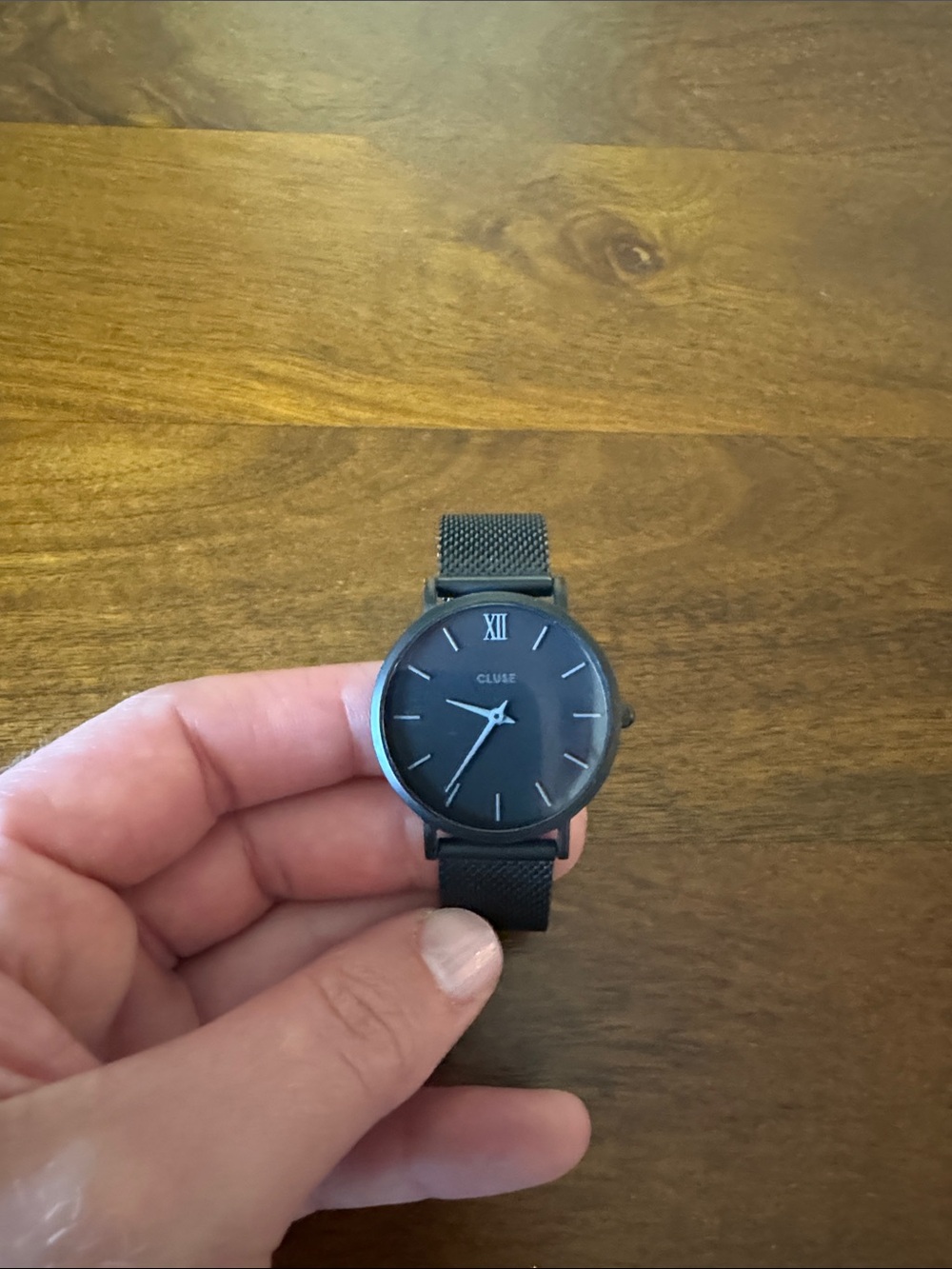 Cluse Minimalist Black Mesh Strap Watch